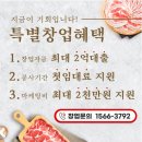 대패꽃피네