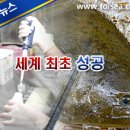 우성수산 이미지