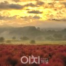 사랑의언덕 이미지