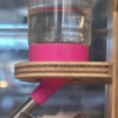 몬스타주 이미지