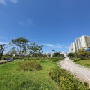 뚱이순대국미사점 이미지