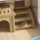 자이언트포레스트 | 2월 도마뱀 기록!🦎 파충류카페 투어, 렙티켓 내돈내산 실사용 후기