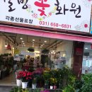 웰빙꽃화원 이미지