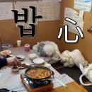 쌍둥이네 애견 이미지