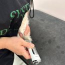 부천애견미용 멍미살롱 이미지