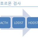 해동물병원 이미지