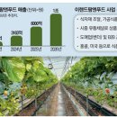 팜앤푸드