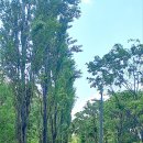 당산중학교 내 이미지