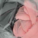 더안 | 진주 더안뷰티 풀페이스 왁싱 후기｜잔털+목털 정리로 피부결 미쳤다… 결혼식 전 관리 추천!