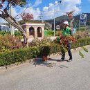 금광파출소 이미지