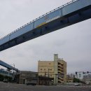 1883개항장 쉼터 관람과 밴댕이 회무침 (2025.6.15.일) 이미지