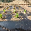 대명농자재 이미지