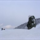 풍차언덕 이미지