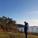 타임스크린골프 이미지