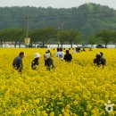 삼척오리마을 이미지