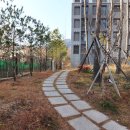 편안한집부동산중개사무소 이미지