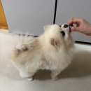 진범 농장 | 한우 채끝등심 후기, 등심 명절선물세트로 좋은 설선물 소고기선물세트 추천