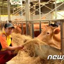 백두축산 이미지