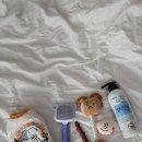 로얄펫 | 강아지유모차 할인매장 펫랜드 로얄테일즈 유모차 후기