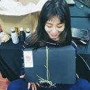 언니머리 이미지