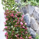 상록빌딩 앞 이미지