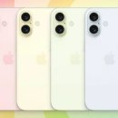16 이미지