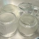 진리오이 이미지