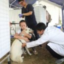 서울어린이대공원동물병원 이미지