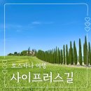 토스카나 사이프러스길 위치 렌트카 여행 추천 명소