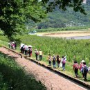 박경리 토지길 이미지