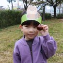 신백체육공원 이미지