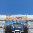 영동과일 | 2026 대한민국 와인축제(영동 와인축제) 후기｜생각보다 훨씬 좋았던 국내 와인 여행