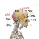 은에스테틱 - 창원시 성산구 반송로 148-9 | 은에스테틱