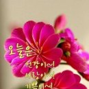 🎧영상음악🎤 🎵립스틱짙게바르고🎵 임주리(가수) 이미지