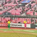 스포츠파크 야구장 이미지