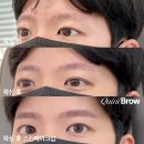 디바브로우 이미지