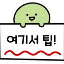 여객선터미널길 이미지