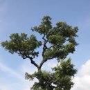 백석리경로당 이미지