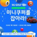 아우디스크린골프 이미지