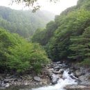 왕소나무집 이미지