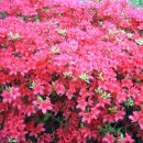 해찬농원 이미지