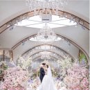 이지포토그라피 | 웨딩 본식 스냅 고르기!, 밝은 홀의 디즈니st 감다살 본식스냅 찾아서, 본식스냅예약후기, 서사포토그라피