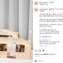 모노앤유디저트