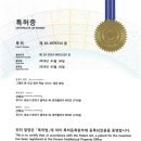 나비초 이미지