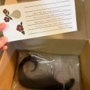 (재단)출입국관리협회 | 어머나 운동본부 배냇머리 기부 26cm 후기 유아서핑 아이의 소아암 머리카락 기부 이야기