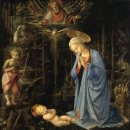 도시의 빛 이미지