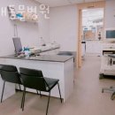 현대동물병원 이미지