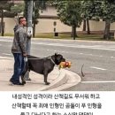 예술대학로4길 | 포토덤프 연말정산 : 2025.10