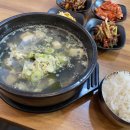 통영굴국밥물회