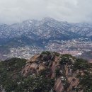 해인향기 이미지